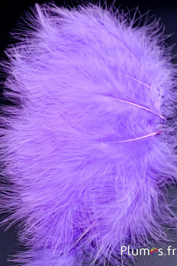 Tacchino marabù – 8-12 cm – lilla